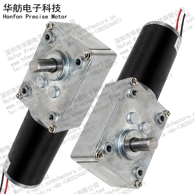24V 2000mA 14RPM Automobile Clutch DC Worm Motor GM4058-3162ZY