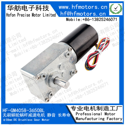 83RPM SelfLocking 24v Brushless Dc Motor GM4058-3650BL